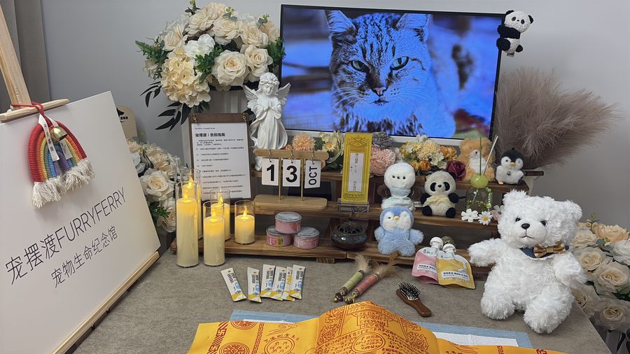 回家的路