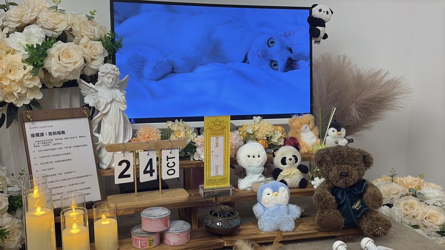属于它的纪念日