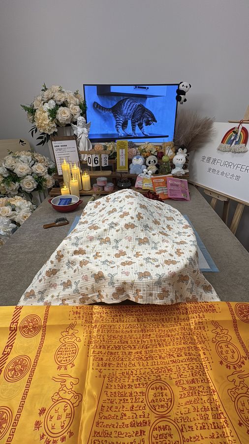 在淄博为毛孩子办一场安静的告别:流程、禁忌与心意表达