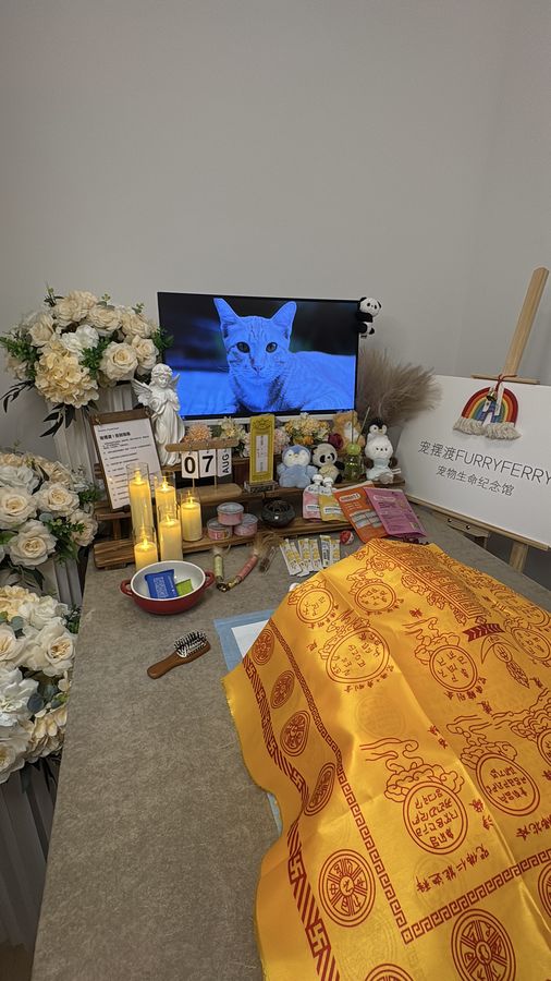 骨灰盒上的爪印